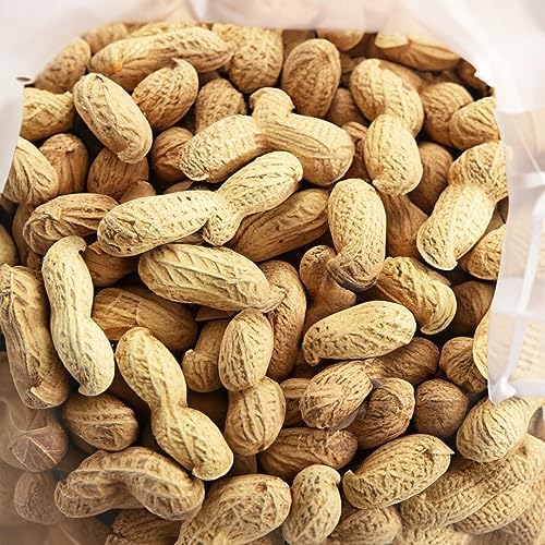 C.J. Dannemiller RAW Peanuts in the Shell, Fancy, 10 LB
