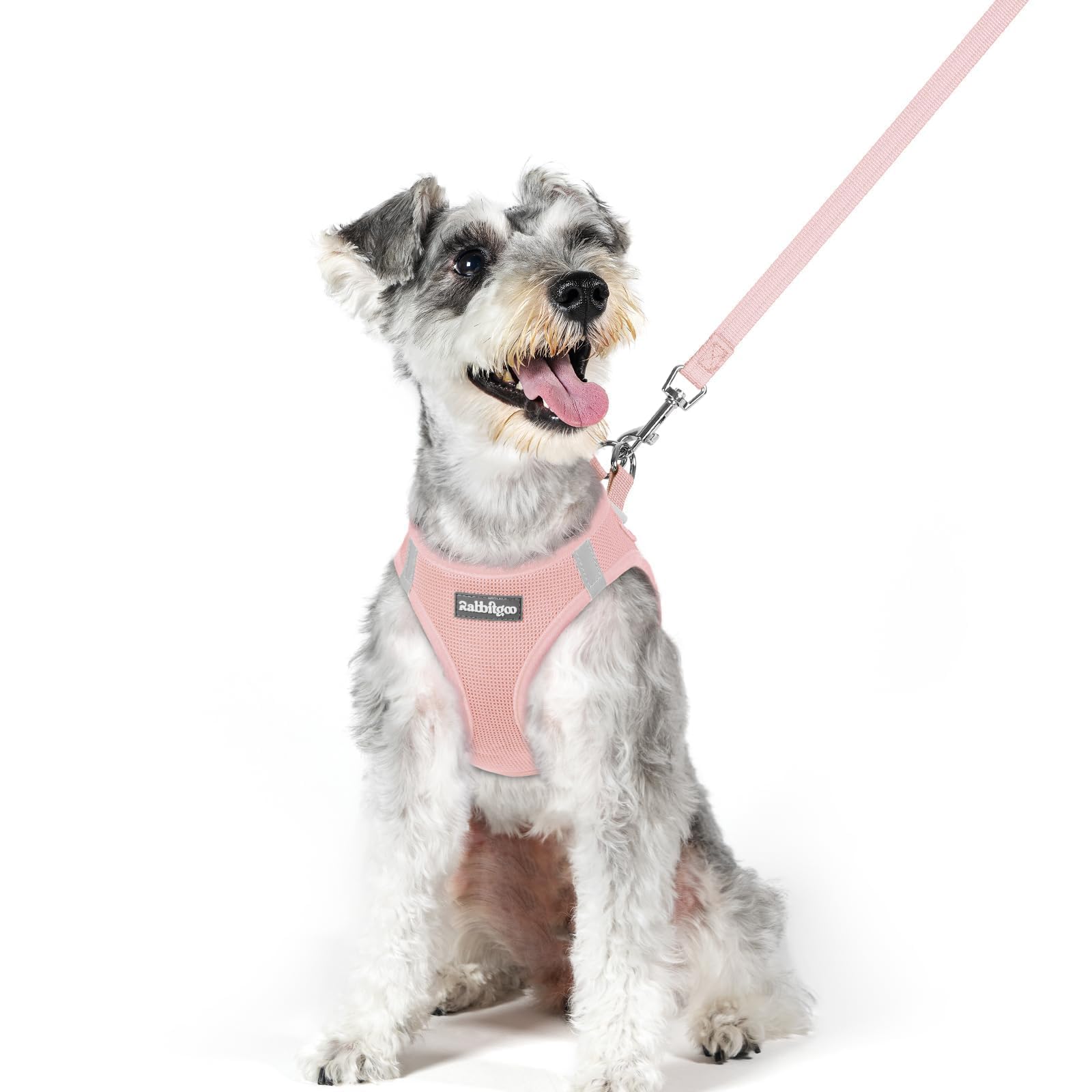rabbitgoo Dog Harness Medium Sized and Leash Set, Step-in Puppy Pet Vest