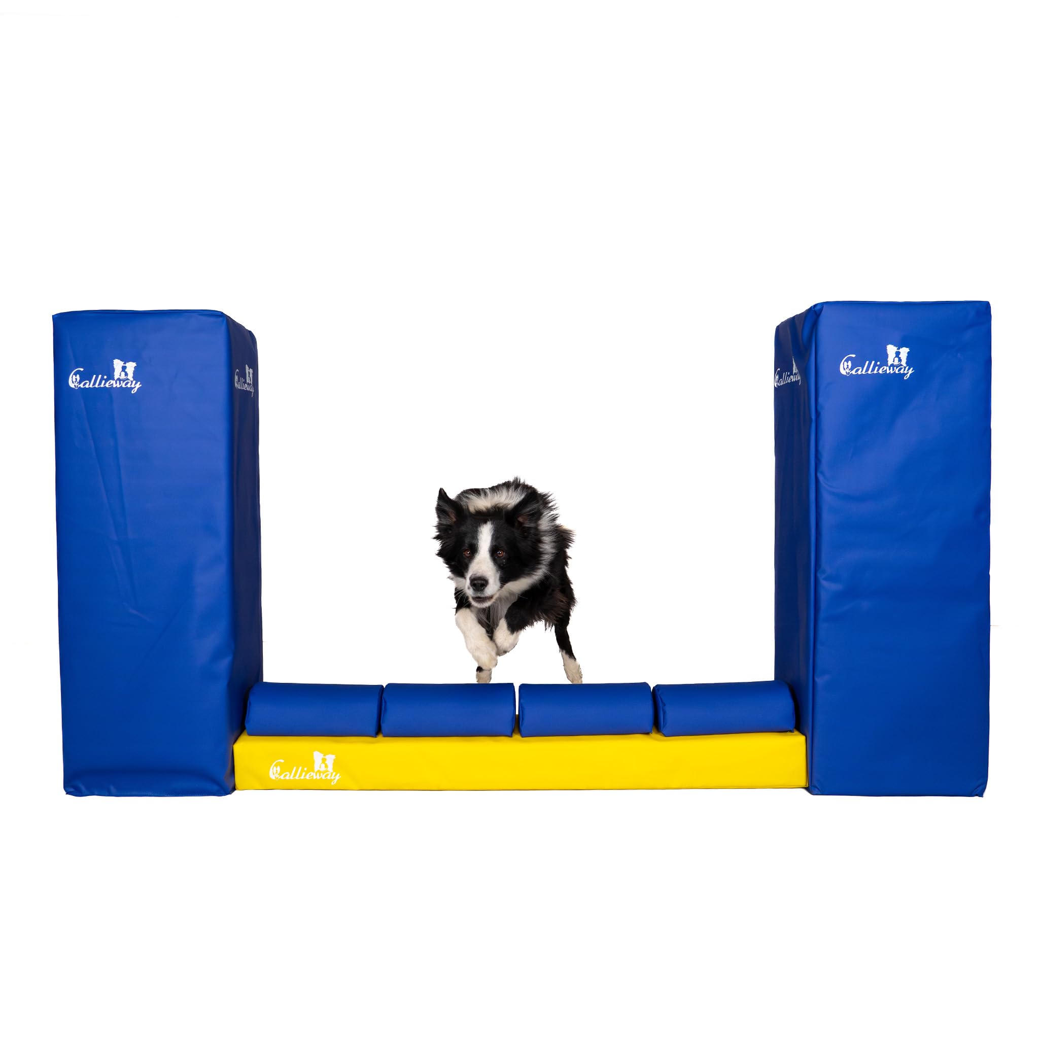 Callieway Mur d'Agility de compétition Bounce Over - Soft - Toutes hauteurs de Saut FCI et CNEAC Conforme (Bleu-Fucsia