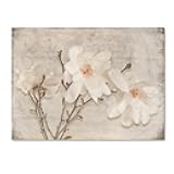 Trademark Fine Art Spring Magnolia by LightBoxJournal, 14x19-Inch-Inch