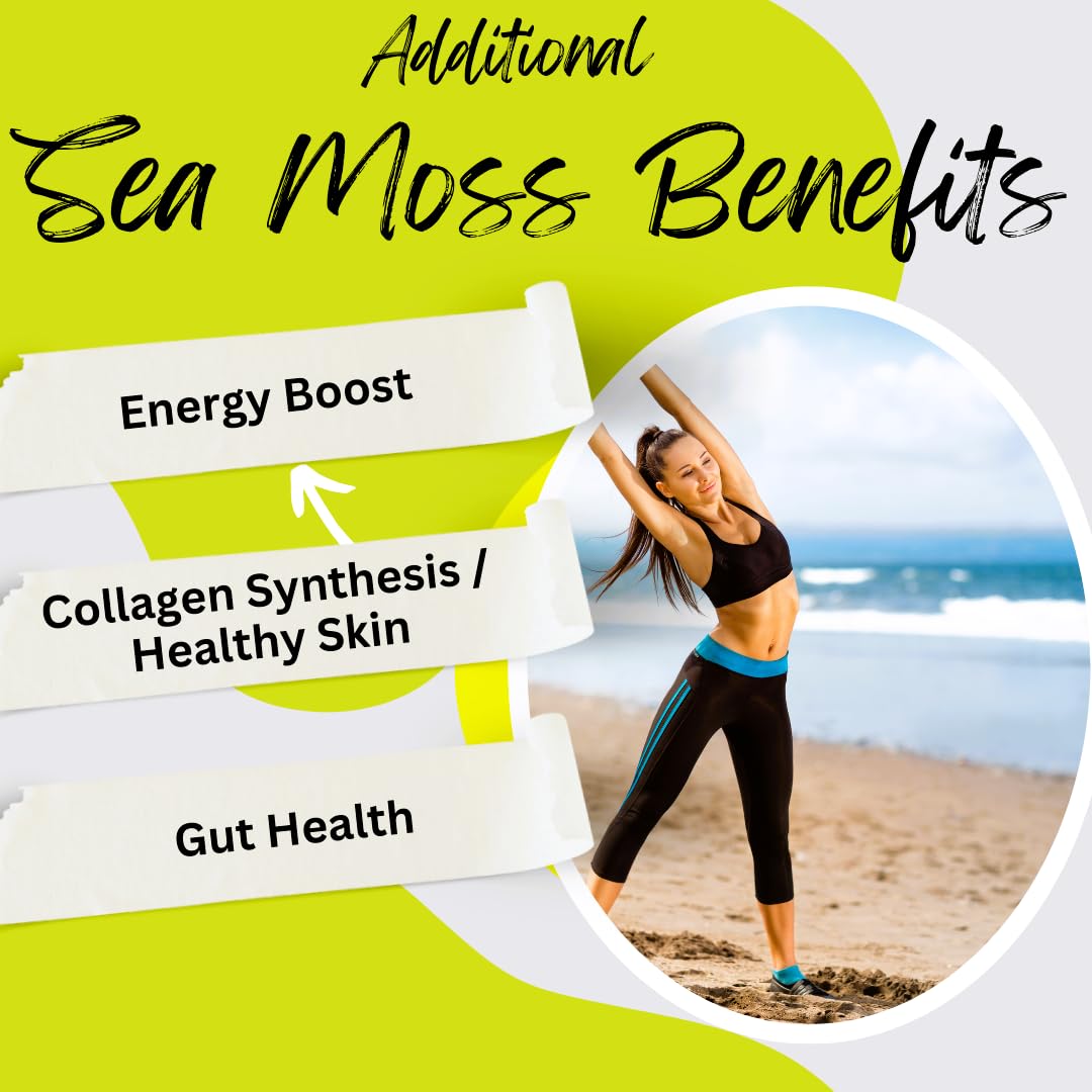 Advanced Bionetix Organic Irish Sea Moss Capsules, Raw Wildcrafted Seamoss Enhanced w/Bladderwrack & Burdock Root Capsules 240 Total Pills Antioxidant Packed. Prebiotic Superfood, Thyroid Support — Amazon image 3