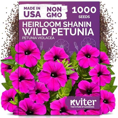 KVITER 2000 Shanin Wild Petunia Seeds for Planting (Ptuni vilacea) Violet Petunia Seed Packets Bulk Annual Purple Flower Seeds to Plant Outside in Hanging Baskets Flower Garden Containers