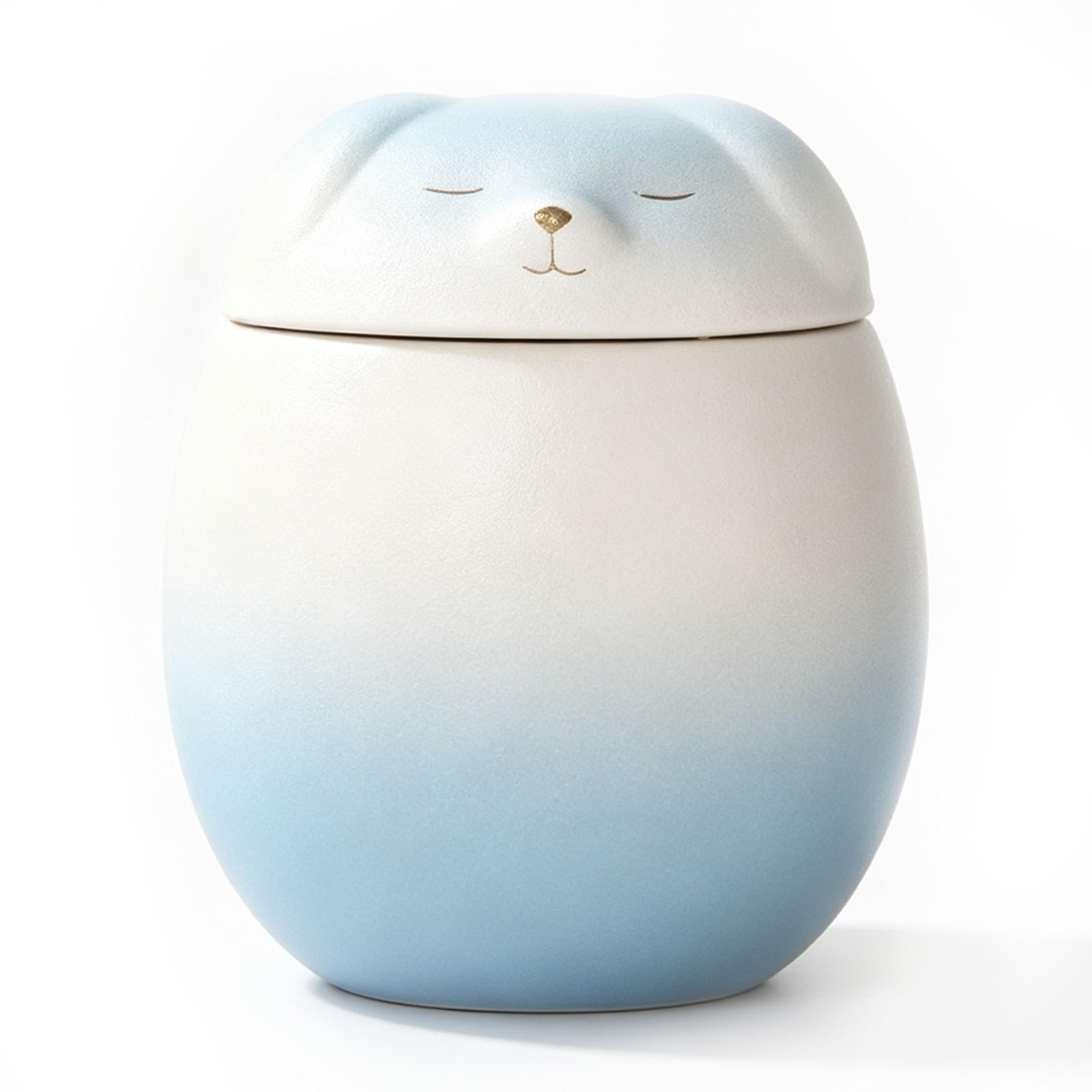 Upgbrf Blue Ceramic Tea Canister Storage Pottery 500Ml Jar Pantry Organizer
