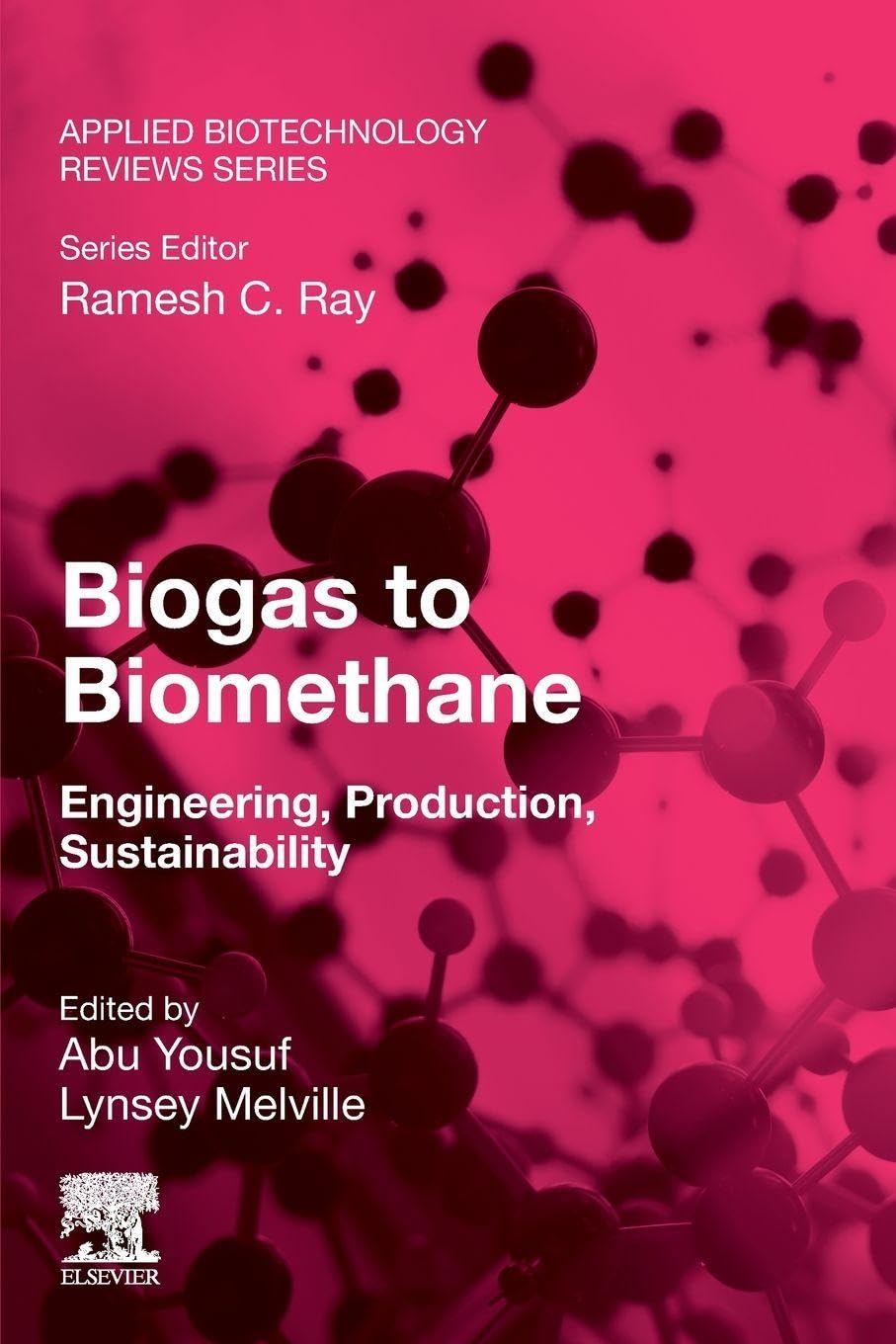 Biogas to Biomethane: Engineering, Production, Sustainability (Applied Biotechnology Reviews)