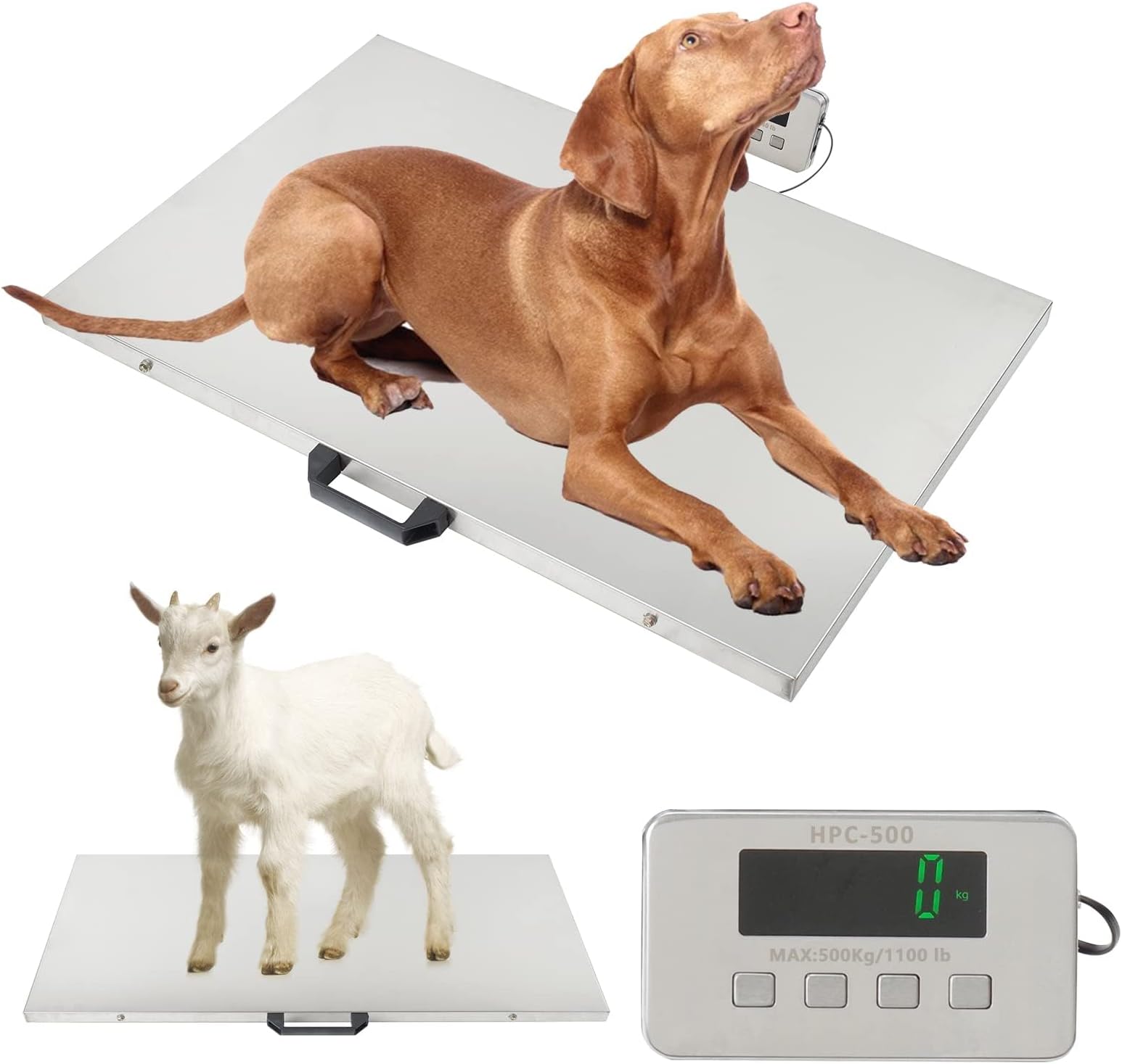 1100LBS x 0.2LBS Livestock Digital Scale,31.5 x 20.9inch Large Platform Express Shipping Scale,Stainless Steel Electronic Ultrathin Vet Scale Digital Weight Scale