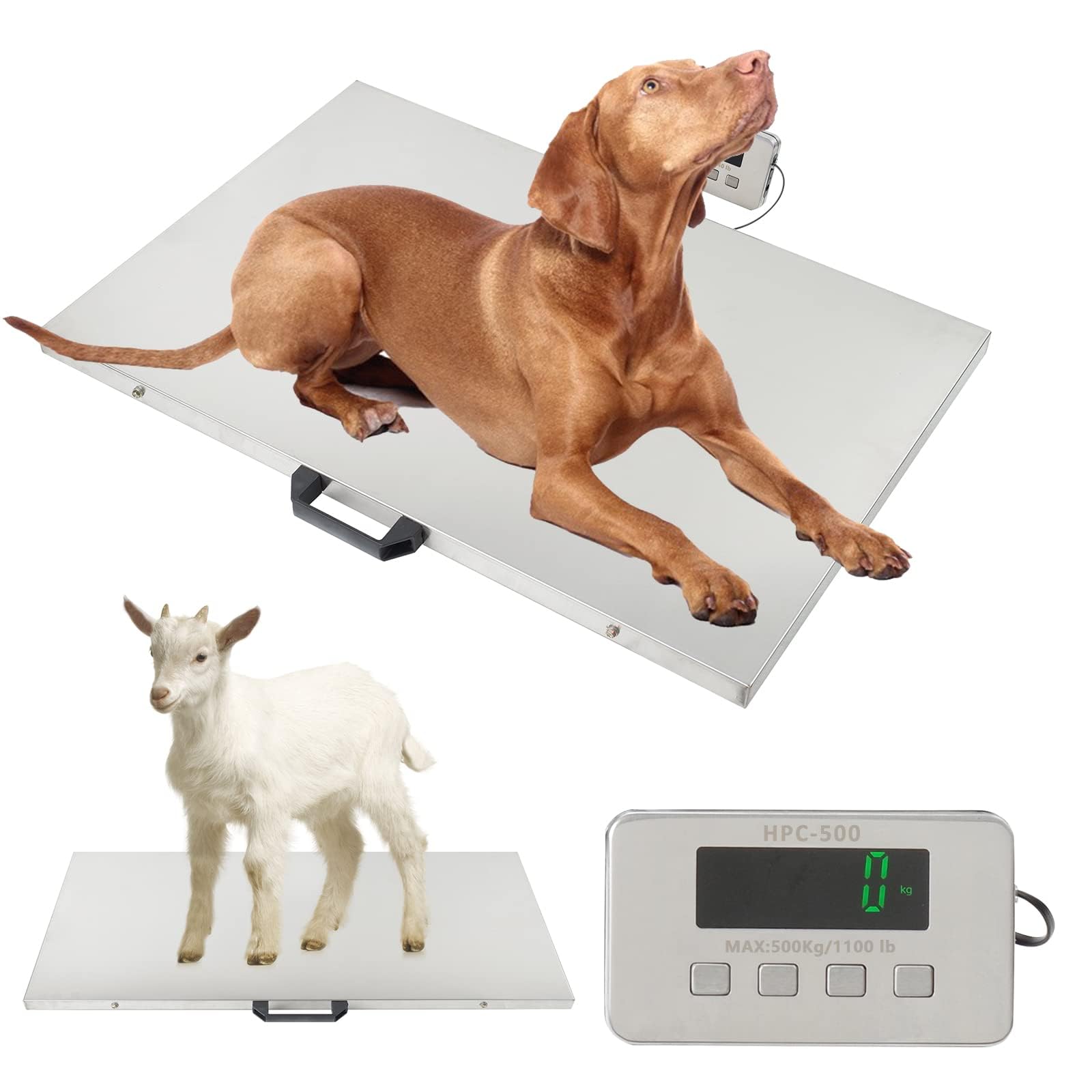 1100LBS x 0.2LBS Livestock Digital Scale,31.5 x 20.9inch Large Platform Express Shipping Scale,Stainless Steel Electronic Ultrathin Vet Scale Digital Weight Scale