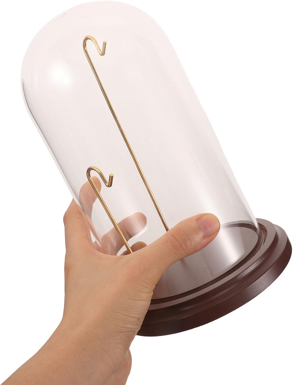 Toddmomy Watch Display Glass Dome Cloche: Pocket Watch Showcase Display with Hook & Wooden Base - Dustproof Jewelry Dome for Office Desk Collection