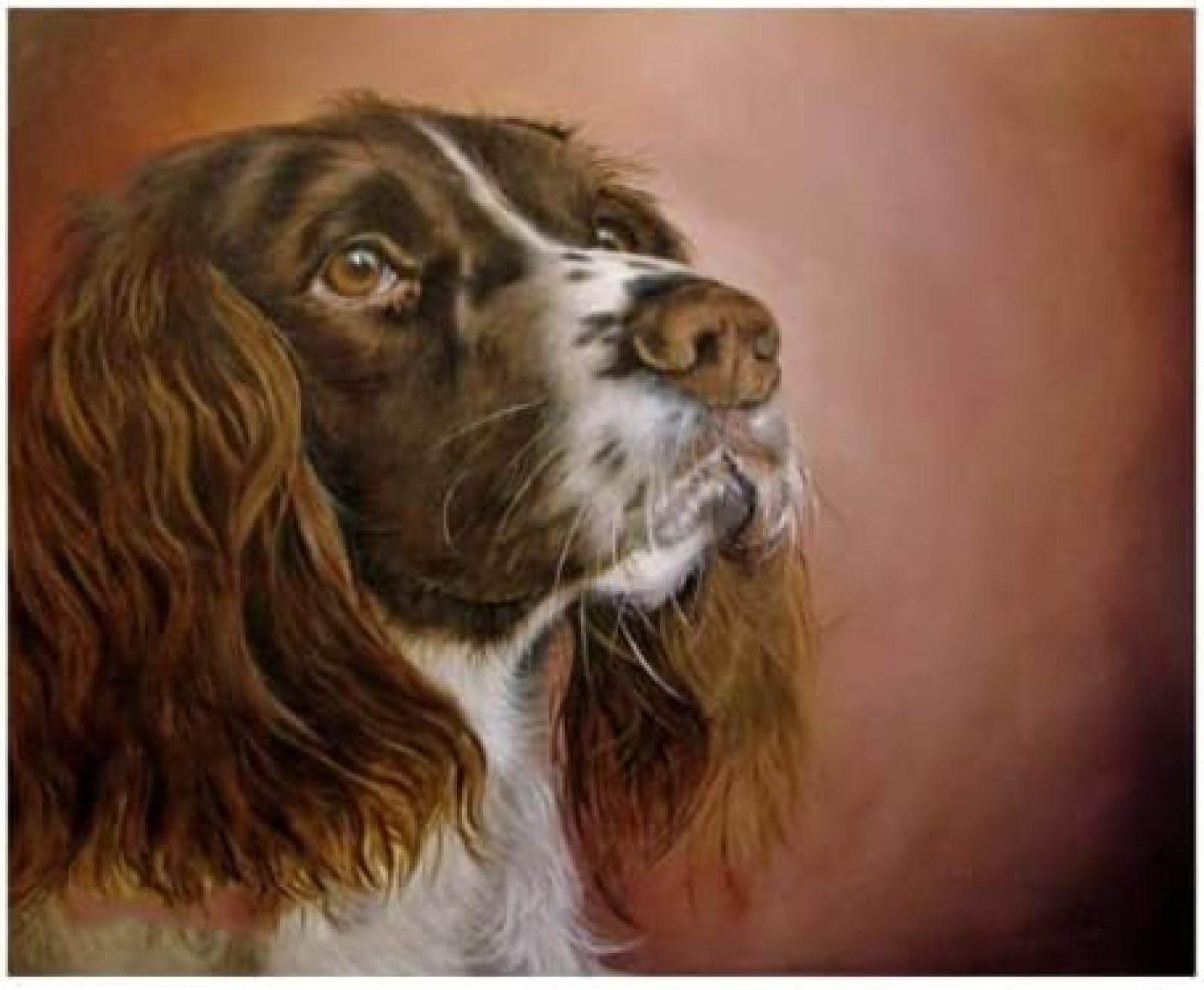 Eiialerm Cross Stitch Kits for Adults Springer Spaniel 11CT Pre-Printed Pattern Stamped Cross-Stitching Embroidery Kit Needlework gifts-16x20 inch