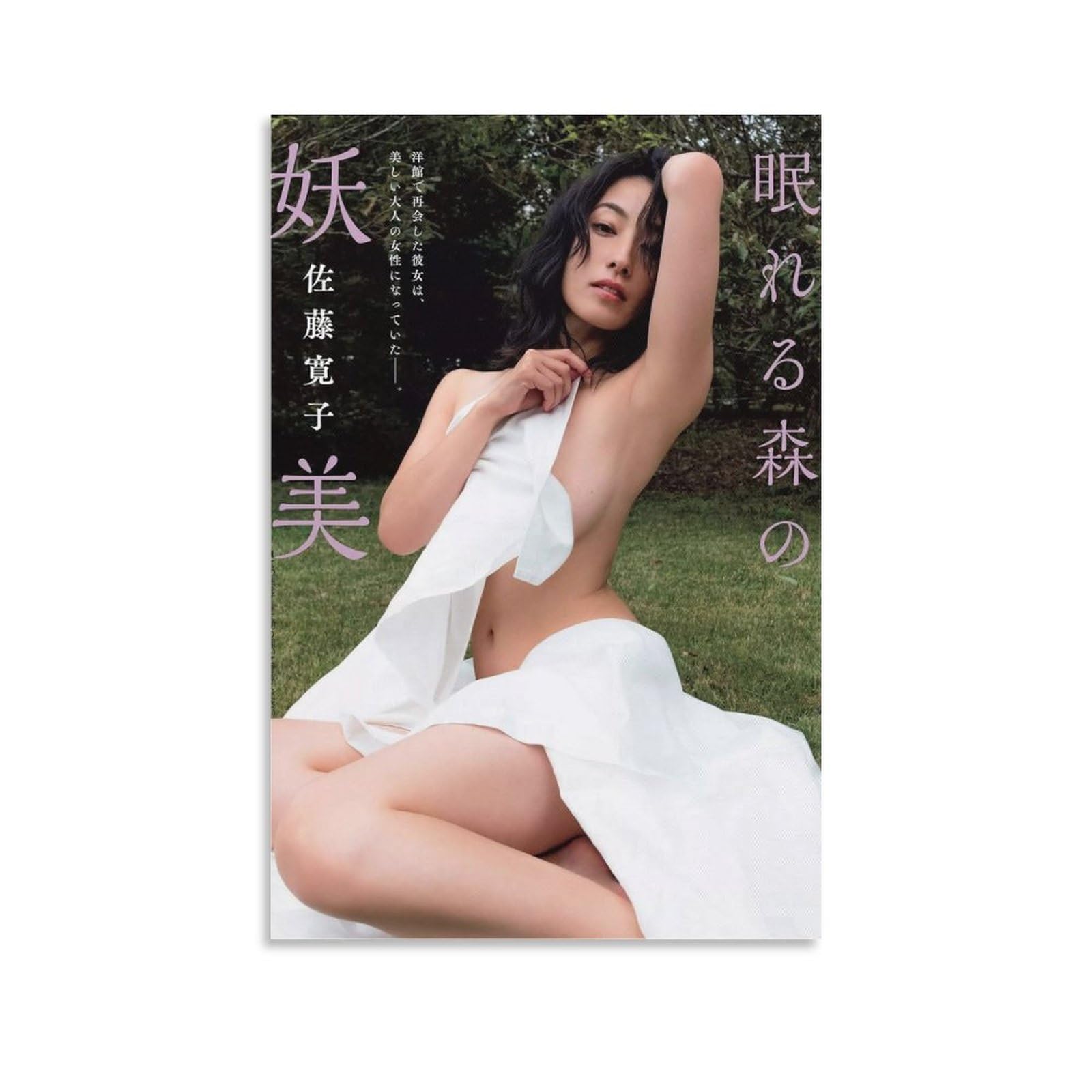 Amazon.co.jp: 佐藤寛子ポスター写真ビキニ水着 クール ポスター 壁