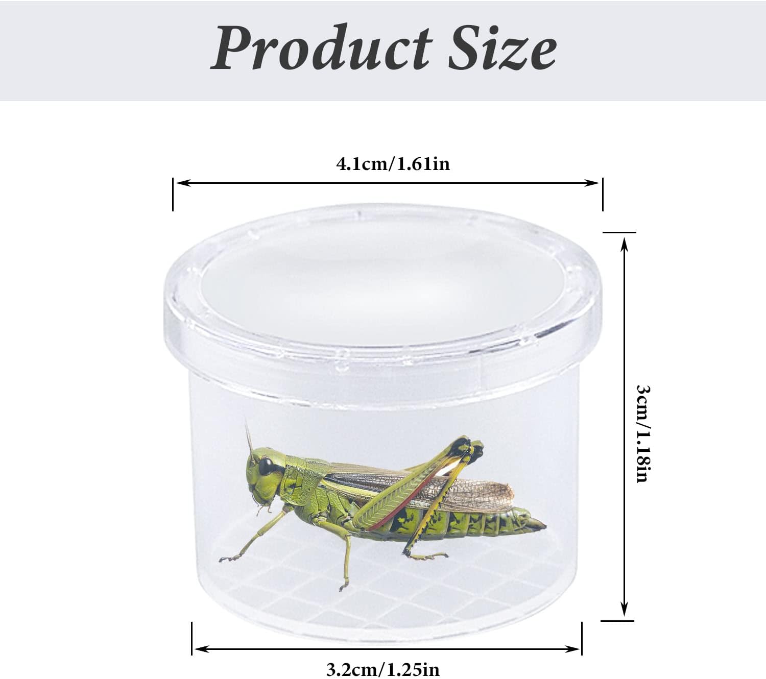 ZDNT 12Pcs Magnifying Insect Container Bug Viewer Insect Cage Bug Catcher Bug Magnifier Container Insect Magnifier Bug Catcher for kids Plastic Insect Boxes for Kids Science Nature Exploration - Image 3
