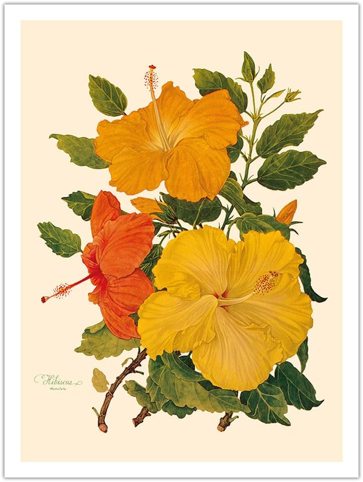 ボディビル,プロレス,格闘技☆GOLD'S GYM ゴールドジム バーナー 旗