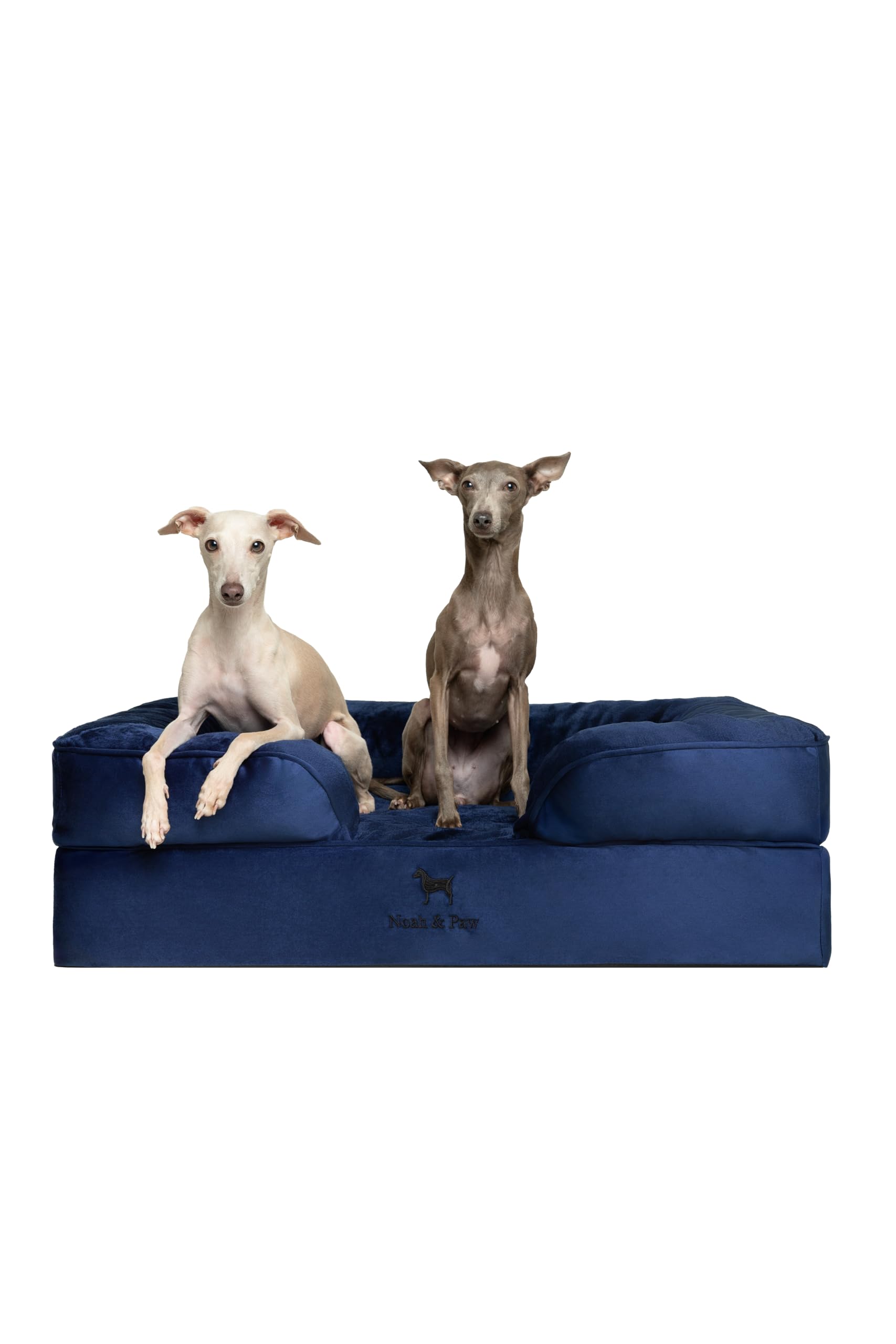 NOAH & PAW Large Dog Bed