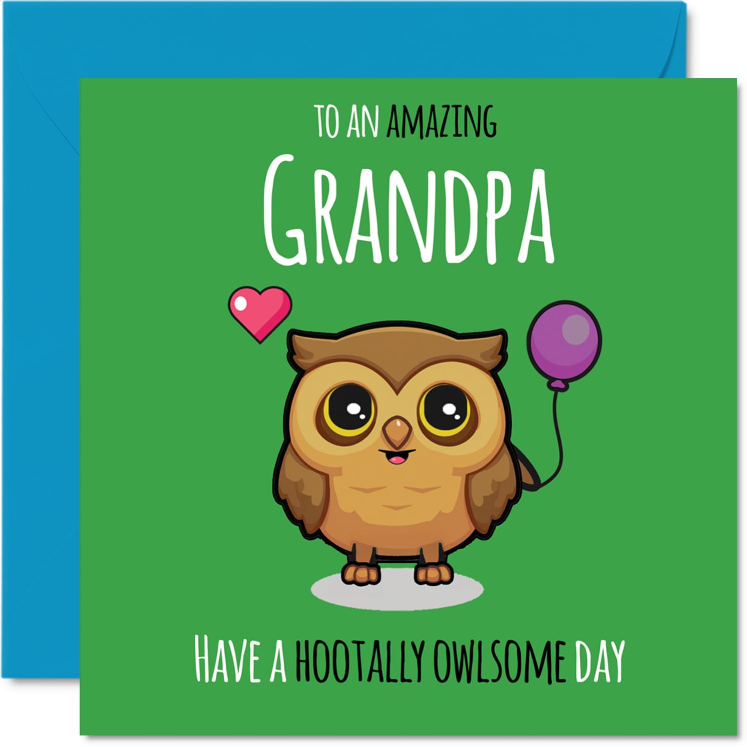 Grandpa Birthday Card - Hootally Owlsome - Happy Birthday Card for Grandpa from Grandson Granddaughter, 145mm cute owl Bday Greeting Cards
