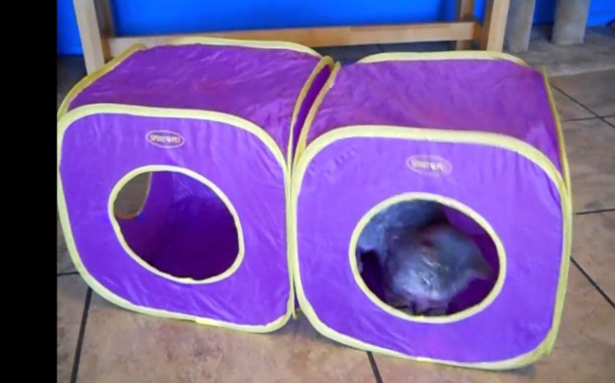 Pop Open Kitty Play Cubes (2)