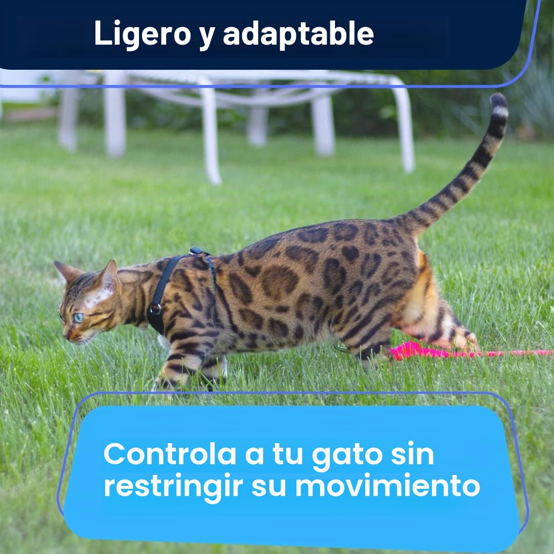 Houdini™ - Juego de arnés y Correa de Piel Vegana a Prueba de Escape para Gatitos de OutdoorBengal para pasear (S)