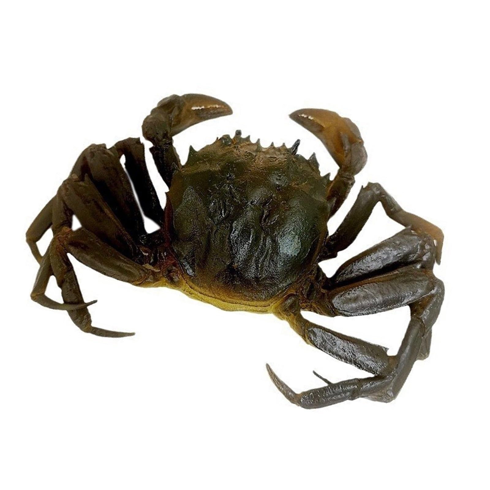 Jazuaiao Realistic Simulation Seafood Model Artificial Seafood Ornament Realistic for Kitchen Display and Homes Staging Faux
