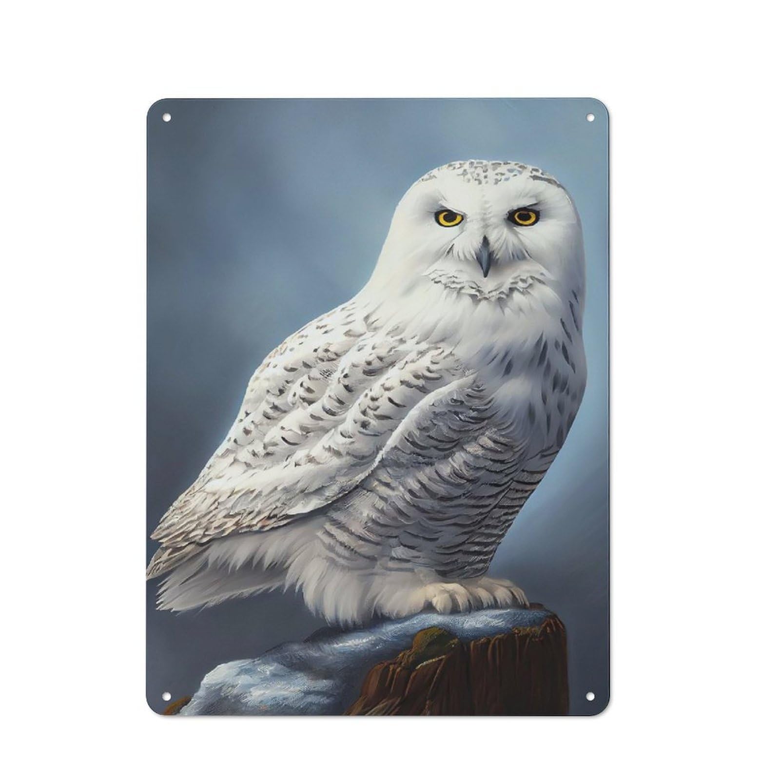 Junmoney Arctic Snowy Owl Cafe Style Metal Wall Decor 40X30cm, Vintage Metal Sign For Takeaway, Bar, Kitchen Or Counter Area