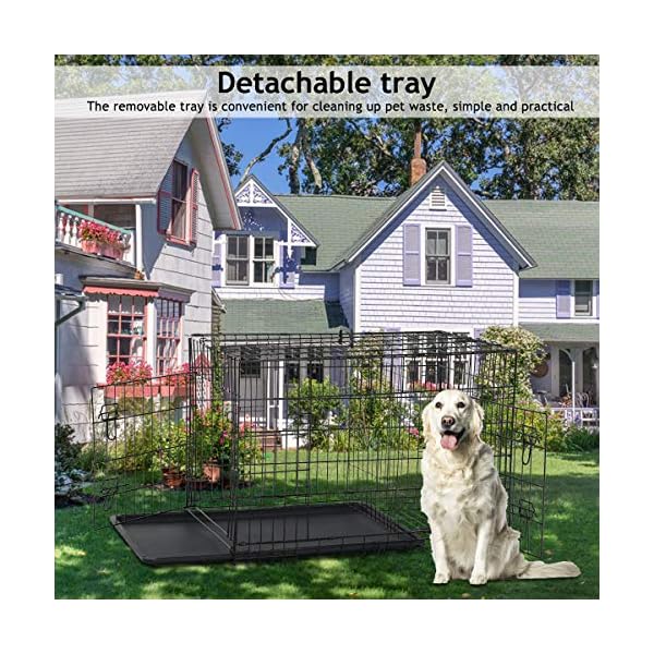 Best Home Product 48 inch Cage XXL Crates for Large Dogs Folding Dog Kennels and Metal Wire Crates Pet Animal Segregation Cage with Double-Door,Tray,Handle and Divider for Dog Training Indoor,Black Best Home Product 48 inch Cage XXL Crates for Large Dogs Folding Dog Kennels and Metal Wire Crates Pet Animal Segregation Cage with Double-Door,Tray,Handle and Divider for Dog Training Indoor,Black