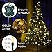 ASENEK Christmas Light, 33ft 100 LED Battery Operated String Lights with Auto Timer & 8 Modes, Green Wire Outdoor Waterproof String Lights for Outdoor and Indoor Christmas Decor – Warm White