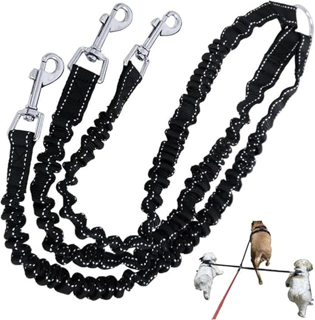 3 Le chien de la voie coupleur de laisse, service lourd sans tirer multiples double angle sans trio Nylon Bungee Cord Stretchy Pups durables plomb pour petits chiens moyens entraînement chien de marche
