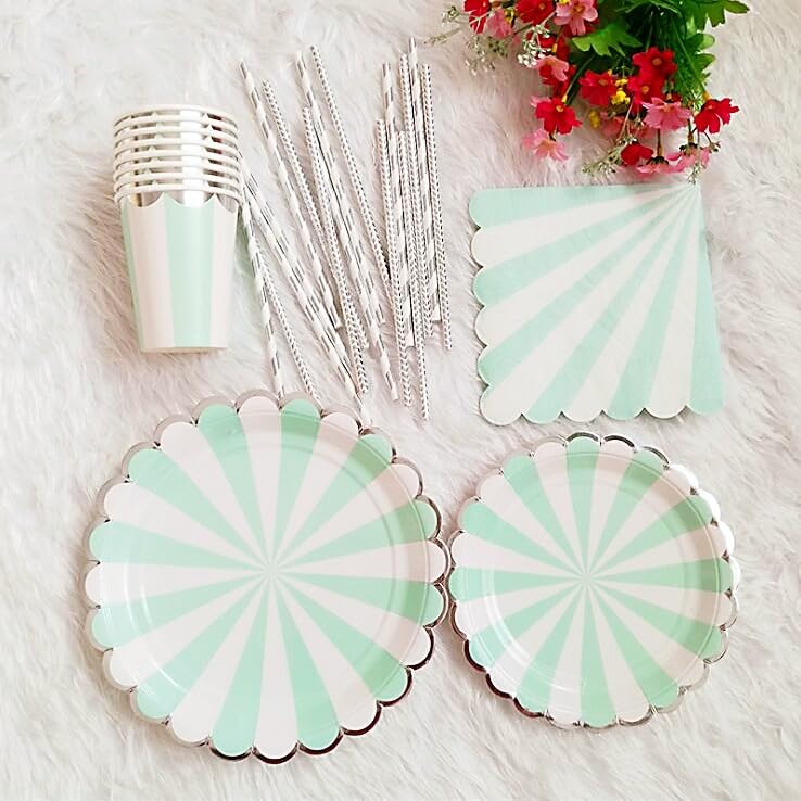 ZCM HAPPYComplete Set of 80 Pieces Disposable Colourful Tableware Set for Special Occasions (Blue)