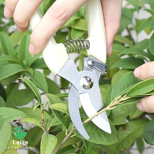 Miniatura 3 de Leize Juego de 2 tijeras de flores de acero inoxidable grueso de alta calidad, podadora fuerte para flores, ramas y hojas, mejora