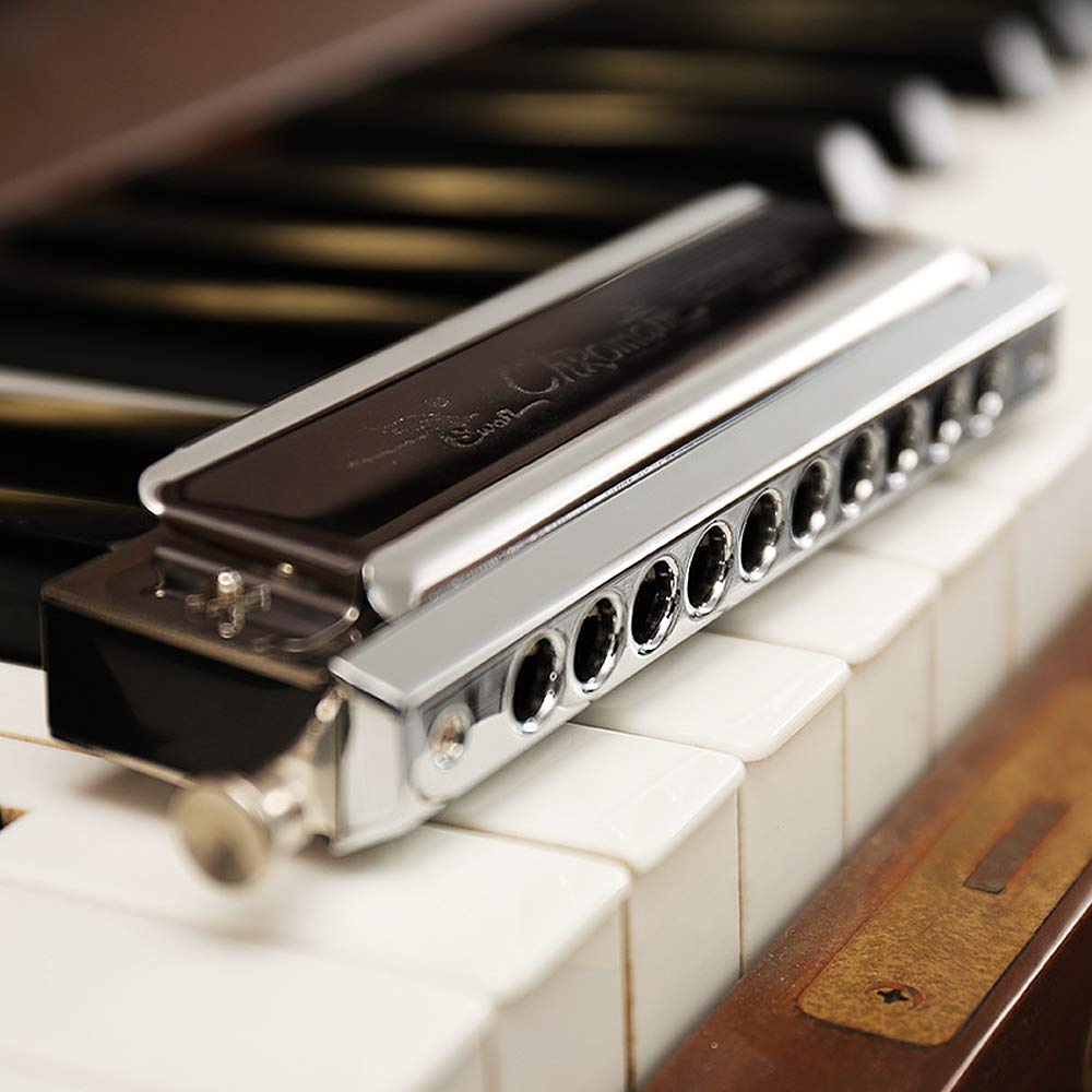 SWAN 10/12/16 Loch, C-Schlüssel, silberfarben, chromatische Standard-Mundharmonika in drehbaren runden Blaslöchern mit Anschluß 16 Holes 64 Sound silber