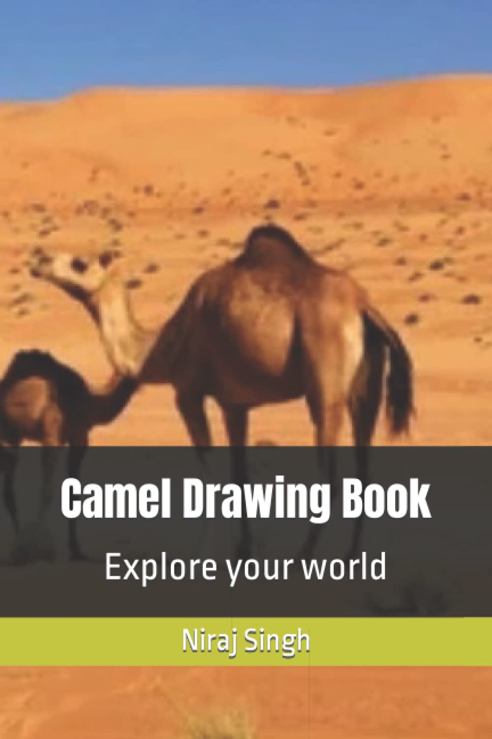 Camel Drawing Book: Explore your world