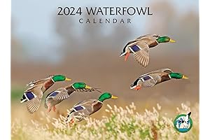 2024 Waterfowl Full-Sized Wall Calendar