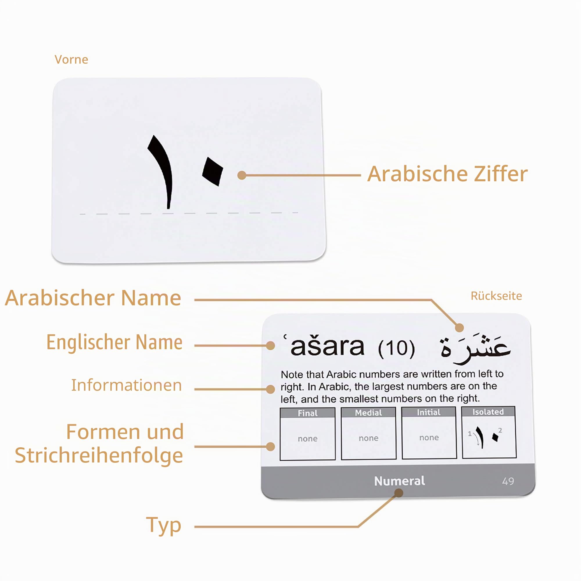CARDDIA Arabische Alphabet-Lernkarten (inkl. Konsonanten, Vokale, diakritische Zeichen und Ziffern)