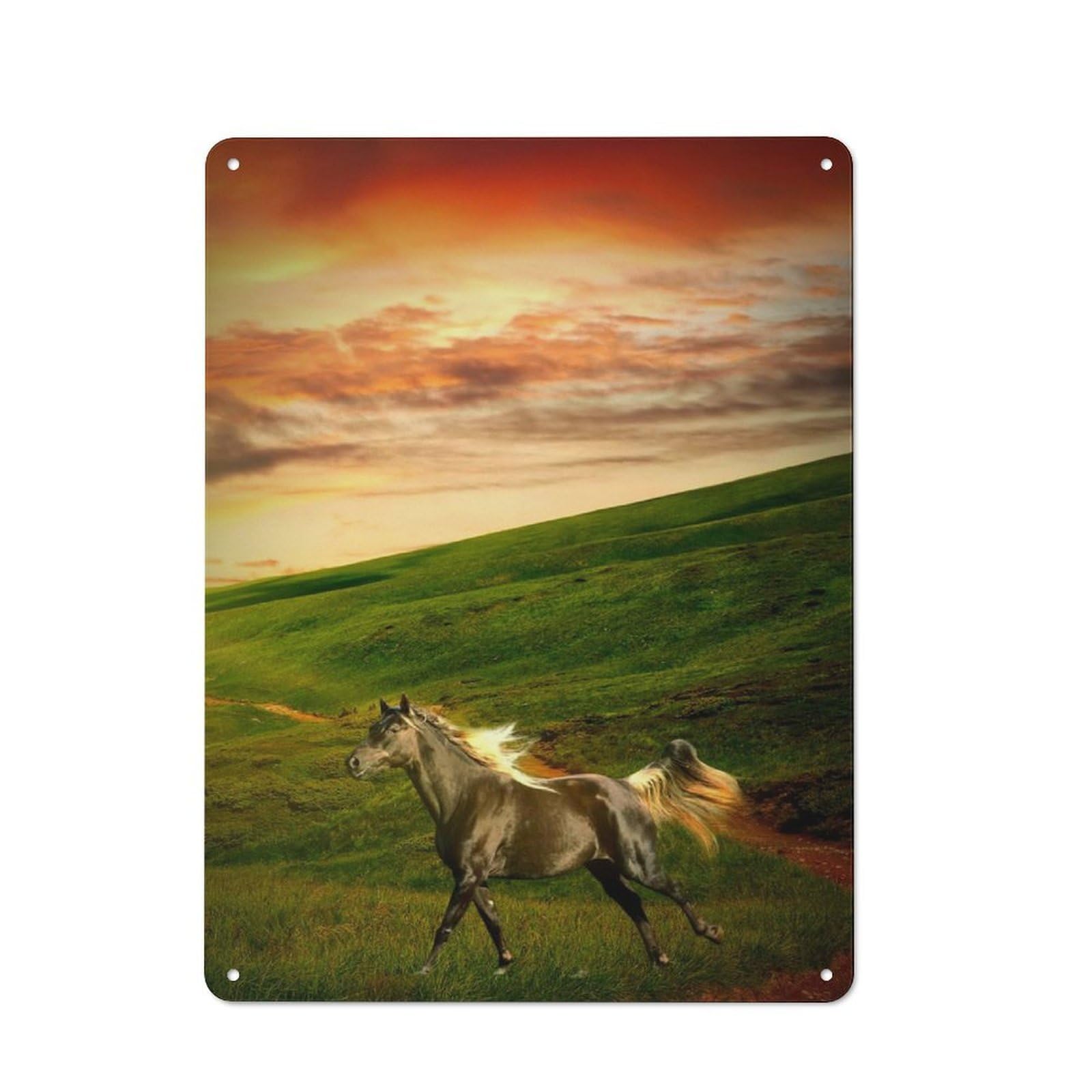 Junmoney Horse Rustic Tin Wall Plaque 40X30cm For Kitchen Or Home Bar, A Winter Wall Decor Update For Kitchen Decor Lovers