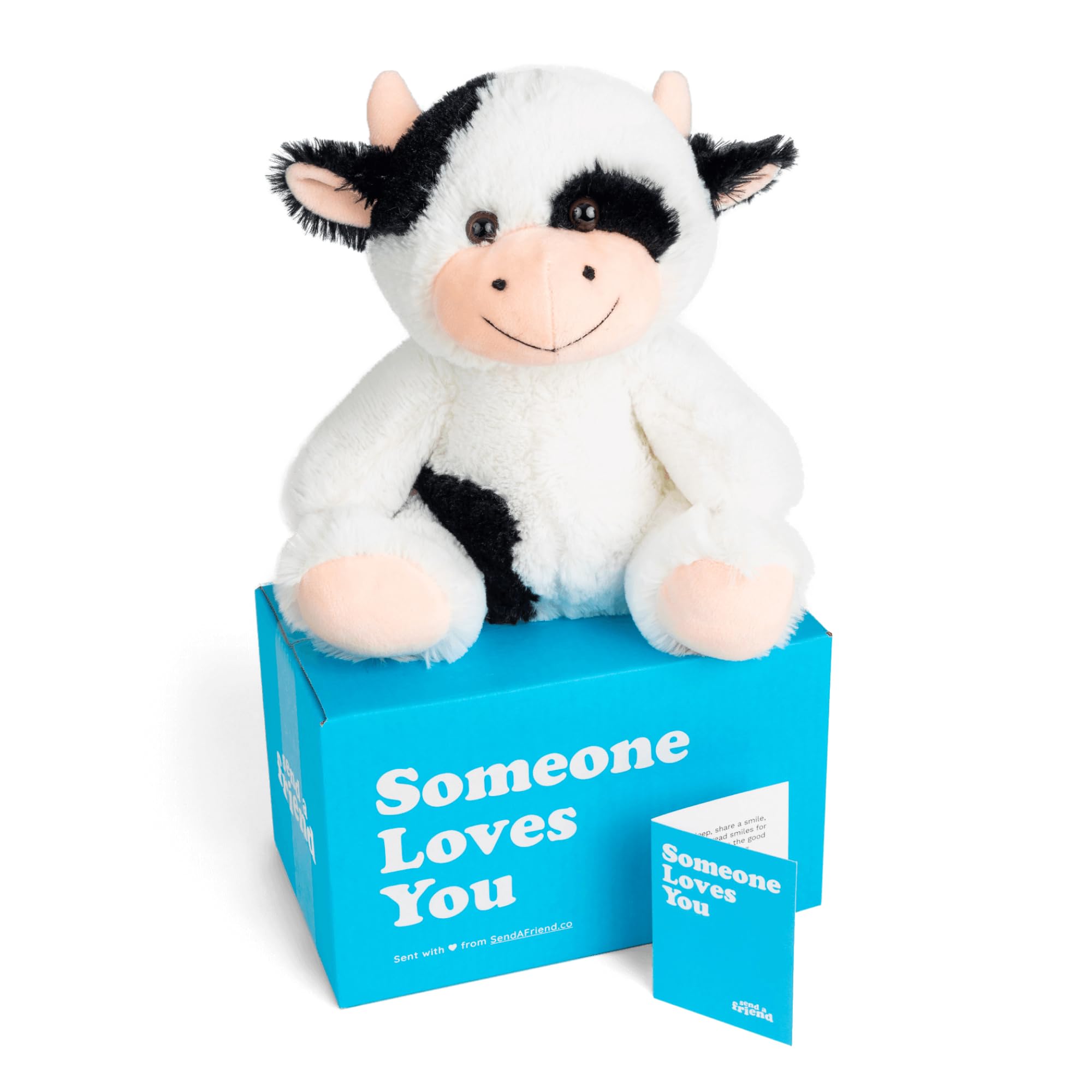 SendAFriend Cooper The Cow Stuffed Animal Care Package, Someone Loves You Box, Great Gift for Any Reason (Miss You Notecard)
