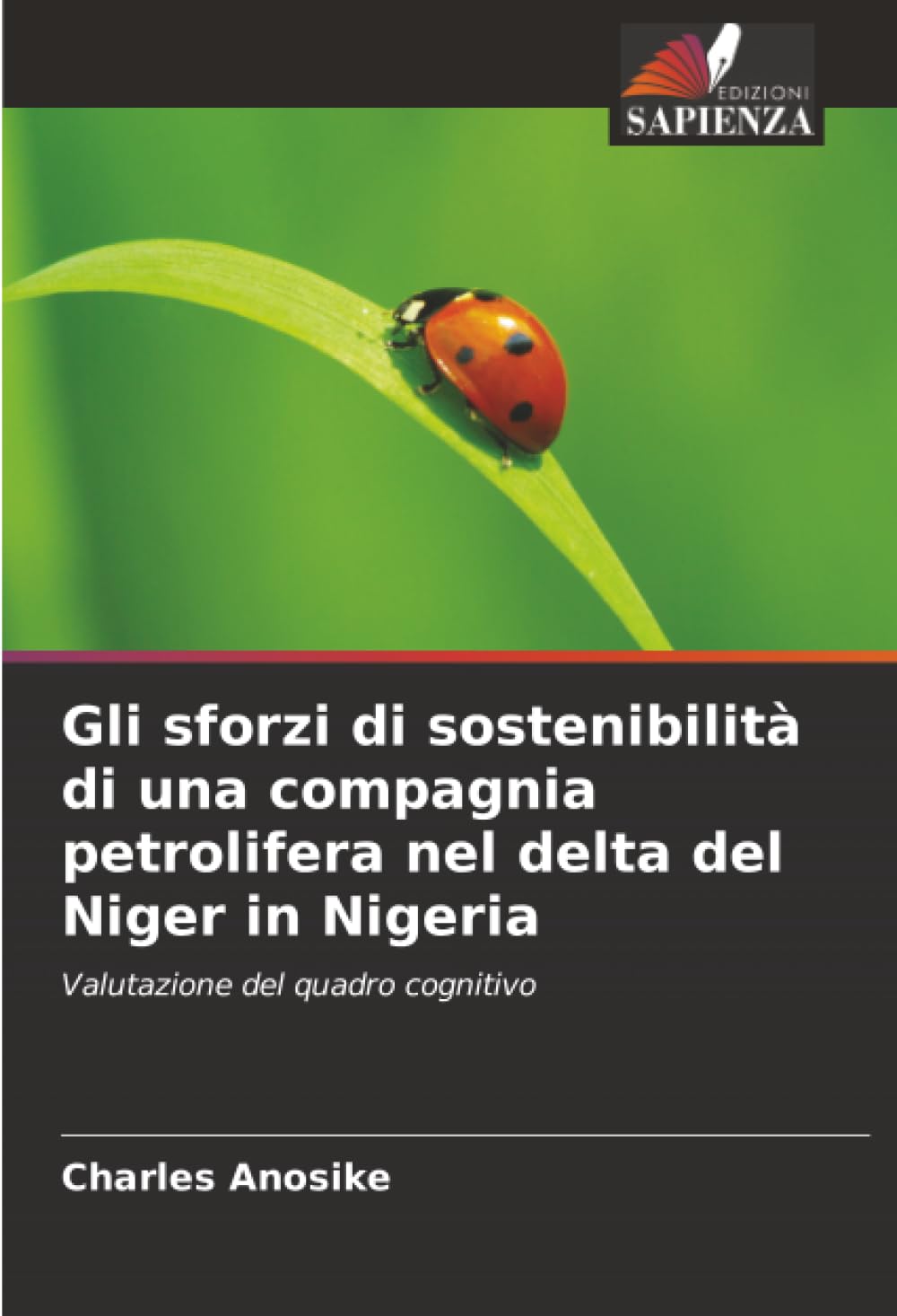Gli sforzi di sostenibilità di una compagnia petrolifera nel delta del Niger in Nigeria: Valutazione del quadro cognitivo