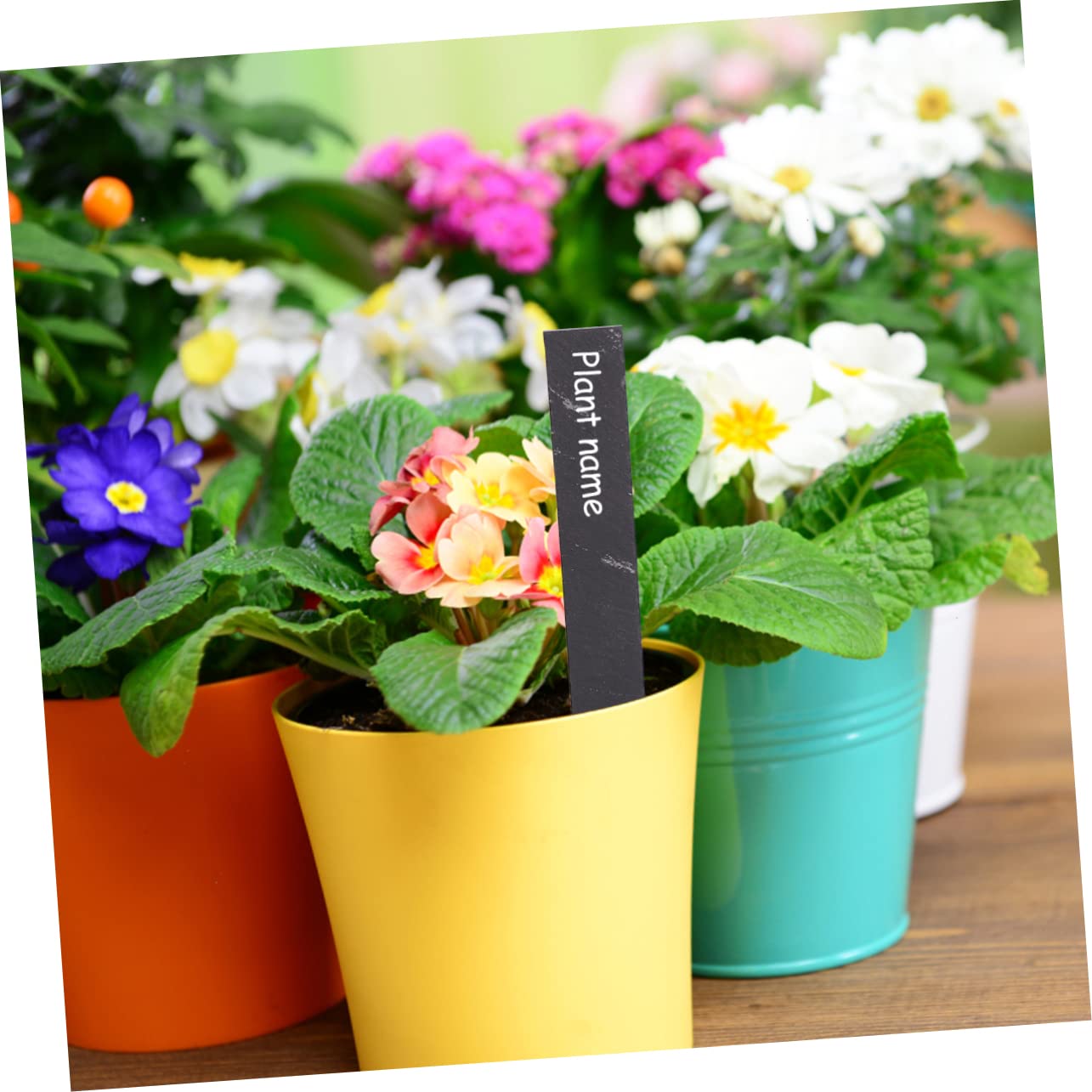 Yardwe 3er-set Etiketten Aus Robustem Material Mit Mitgeliefertem Stift Zur Einfachen Identifizierung Von Blumen Und Pflanzen 7 Stück X 3