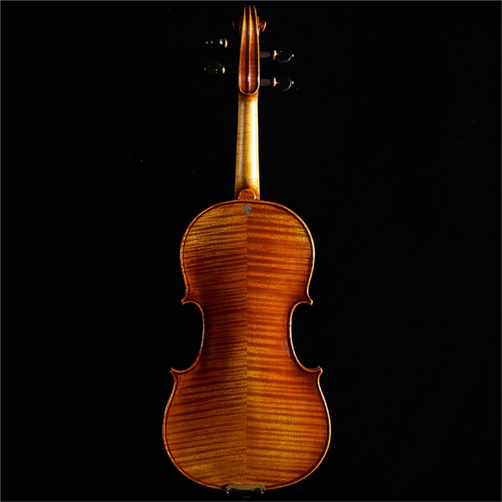Un Violino Solista Da Concerto Per Adulti Violino