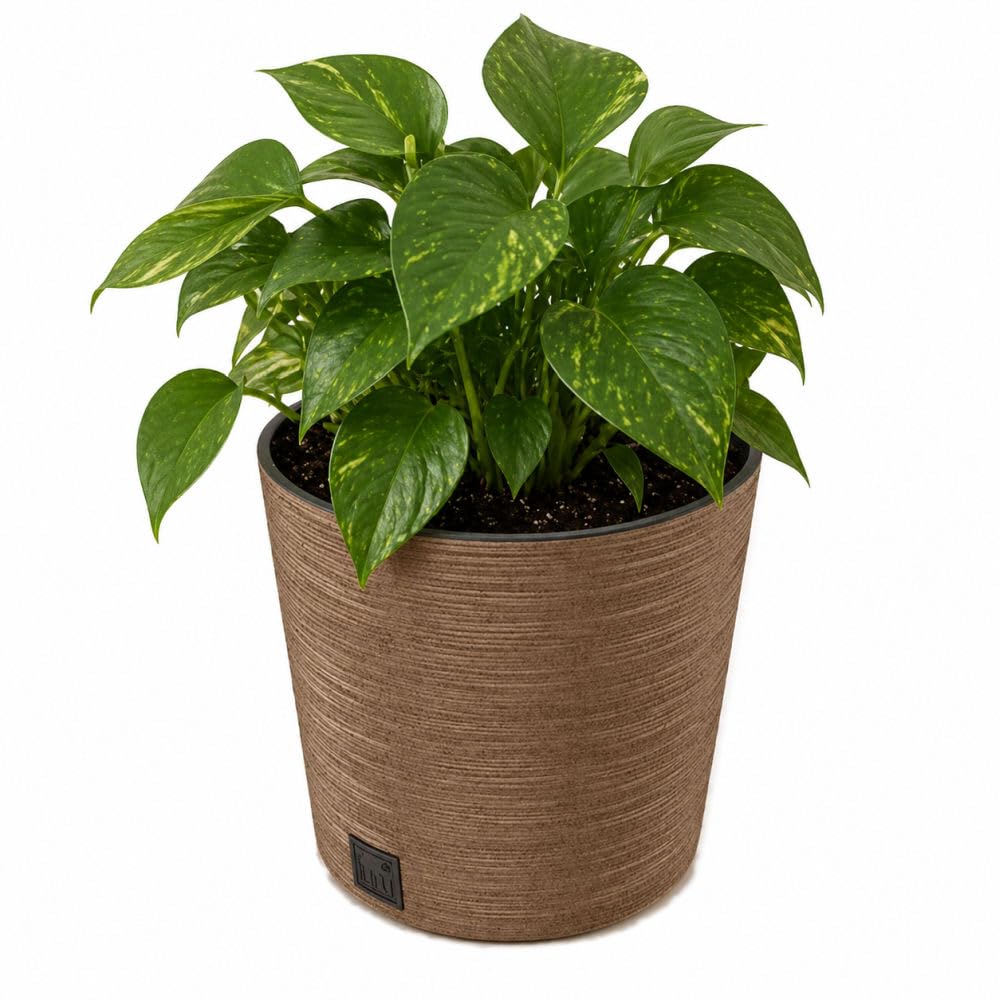 Gardening Naturally Light Brown Plant Pot Stylish and Durable Plant Pots for Indoor and Outdoor Use (Round Pot 25cm) — image 1