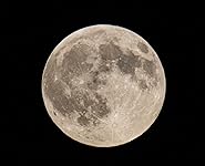 Review Image by John B Wilcox John B Wilcox