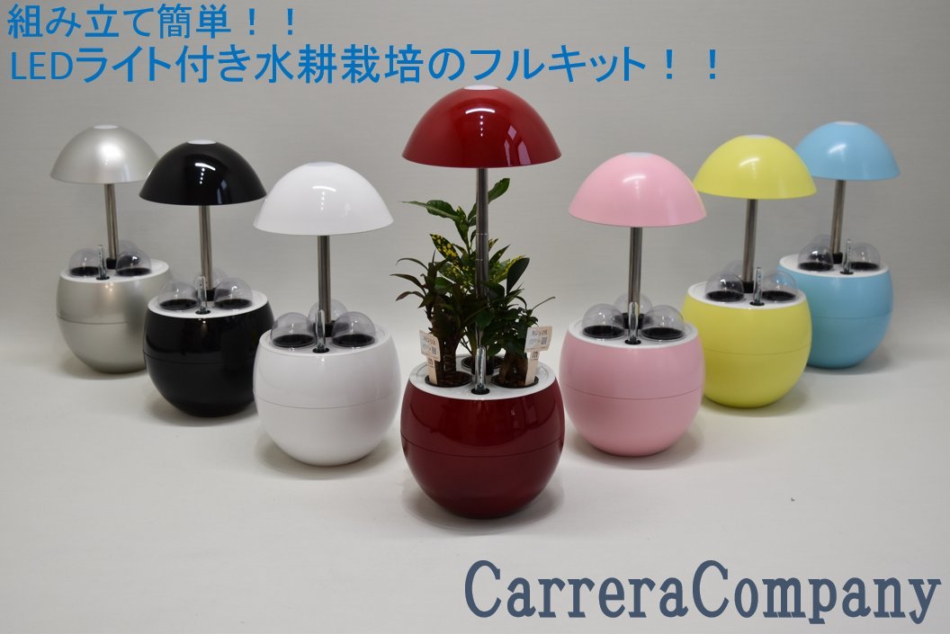 Amazon.co.jp: LEDライト付き水耕栽培フルセット!! (ホワイト) 「誕生