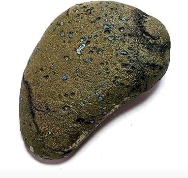 Amazon.co.jp: 青森県産 今別町産 舎利母石 原石 奇石 安山岩 子持ち石