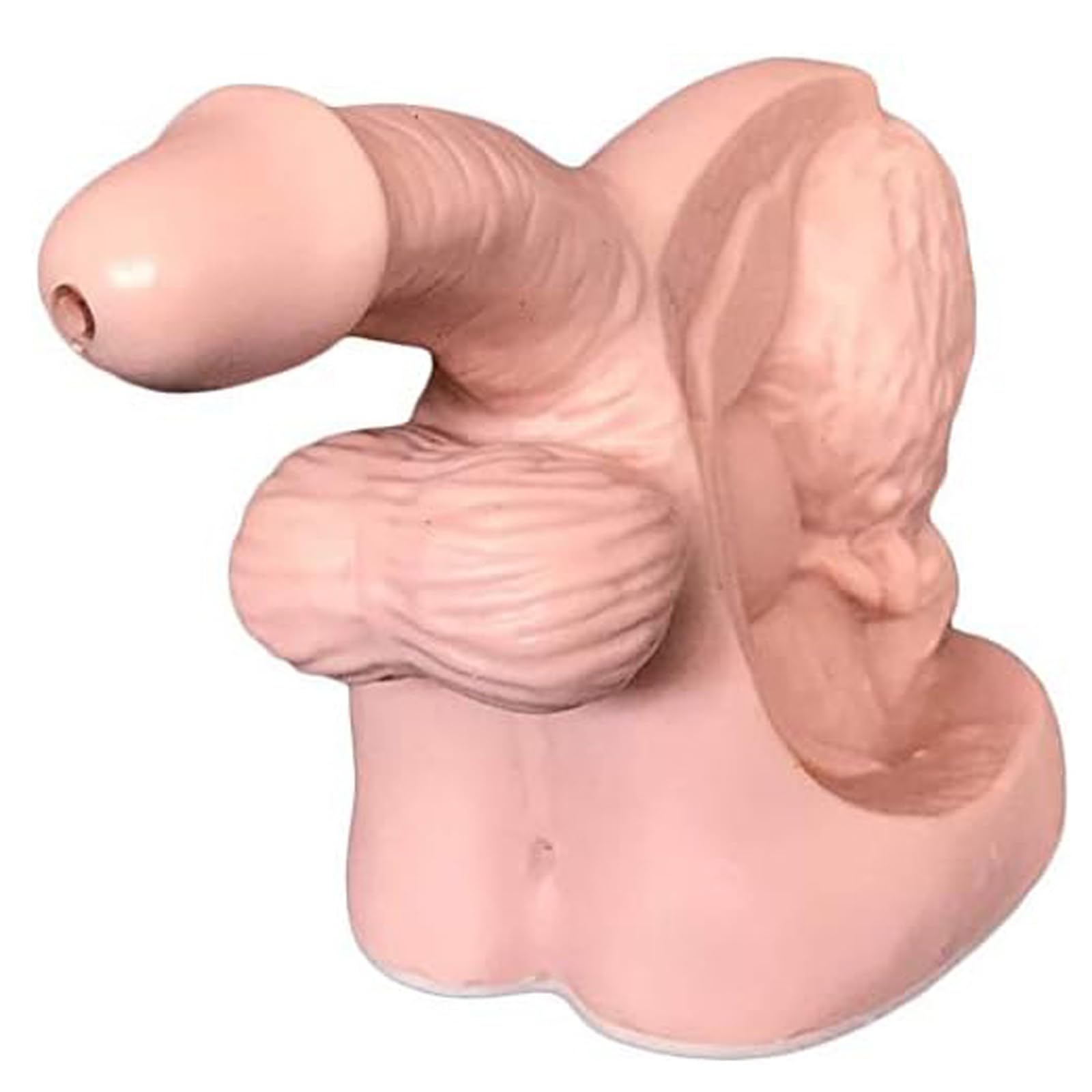 Modelo de anatomía para cateterismo masculino con simulación de vías urinarias