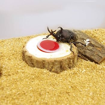 果肉様 pickup]フルーツミックス55 | 株式会社マルヤ