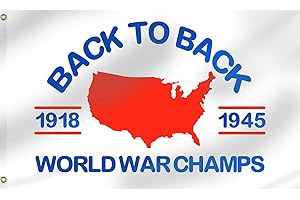 Jeffrey Epstein Memorial Flag Veteran Back To Back 15x9 Ft