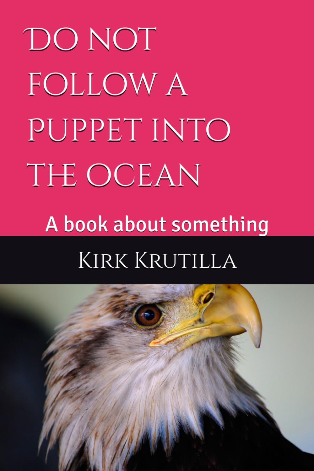 Do not follow a Puppet into the ocean: A book about something