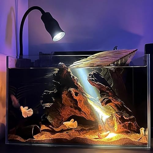 LONGRUI 黒背景 ベタ水槽 おしゃれ クリアガラス 飼育用ベタ 金魚 熱帯魚 小型 ブラック クリアガラス アクアリウム リビング用 ベタ専用設計 フレームレス水槽 の商品画像 4
