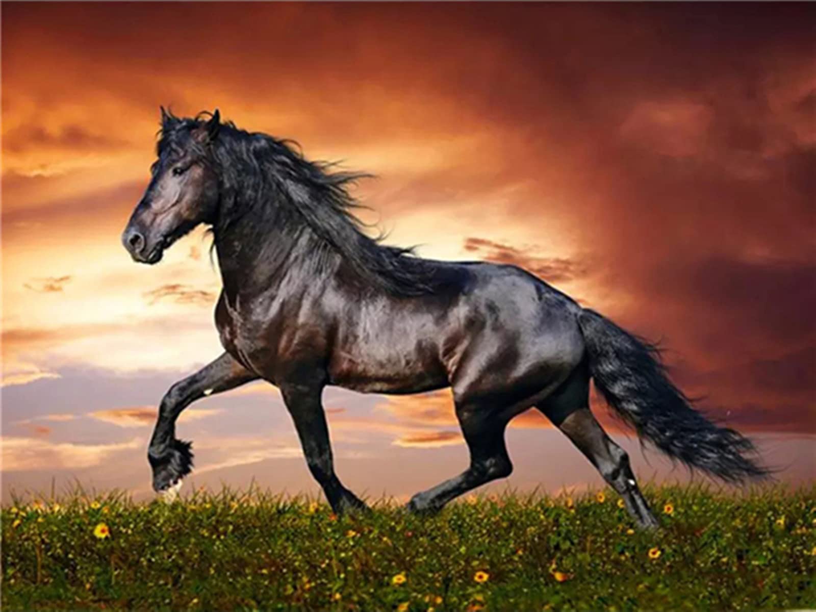 Kreative Puzzles 3000 Stück Laufendes Pferd Puzzlespiele FüR Erwachsene Kinderpuzzles Aus Holz Erwachsene Kinderpuzzles 10+ Fertige Größe 122×81cm
