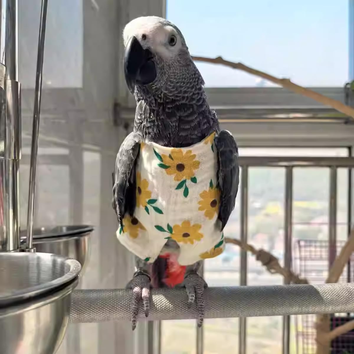 Bird Clothes - Cute Jumpsuit Costume for Parrots African Greys Parakeet Cockatiel Conure Birds Apparel Bird Supplies (B,Sulphur-Crested Cockatoo)