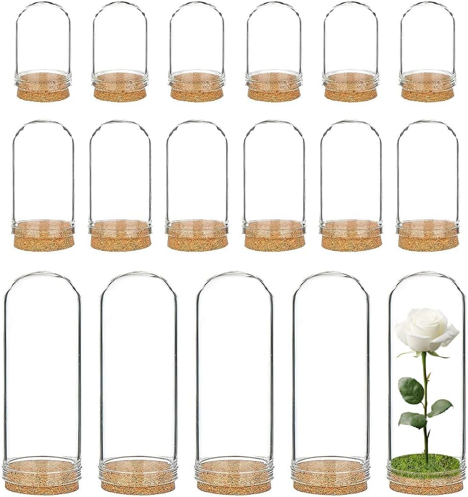 BENECREAT 24 Pack Mixed Size Glass Jars with Cork Stoppers - DIY Crafts, Wedding Favors, Party Decor & Home Accents