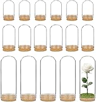 BENECREAT 24 Pack Mixed Size Glass Jars with Cork Stoppers - DIY Crafts, Wedding Favors, Party Decor & Home Accents