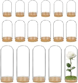 BENECREAT 24 Pack Mixed Size Glass Jars with Cork Stoppers - DIY Crafts, Wedding Favors, Party Decor & Home Accents