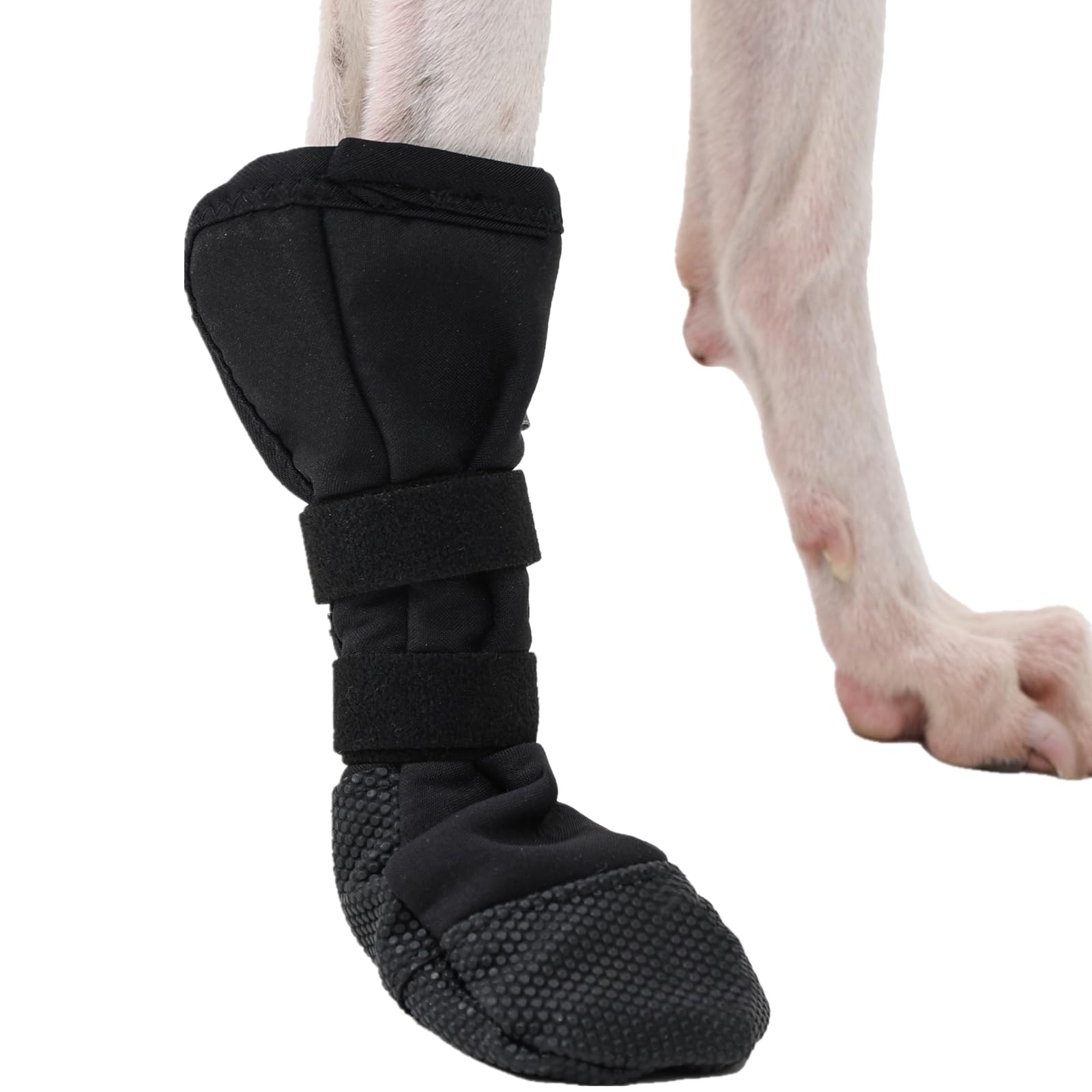 UIQELYS Dog Boot for Paw Injury & Wound Protection — Water Repellent & Breathable Shoe for Bandages, Non-Slip Sole, Ideal for Dogs (Single Boot) (Black, M)